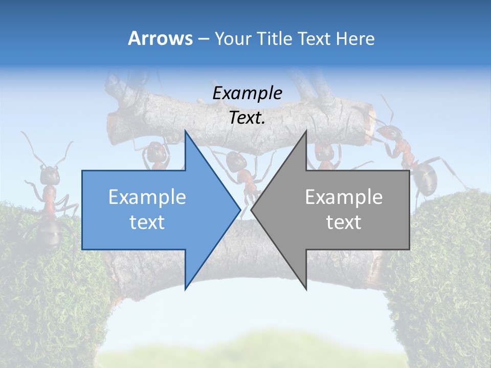 Log Wooden Insects PowerPoint Template