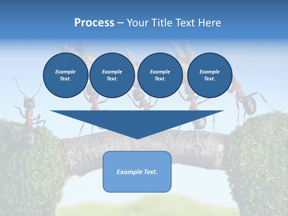 Log Wooden Insects PowerPoint Template