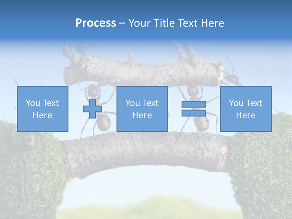 Log Wooden Insects PowerPoint Template