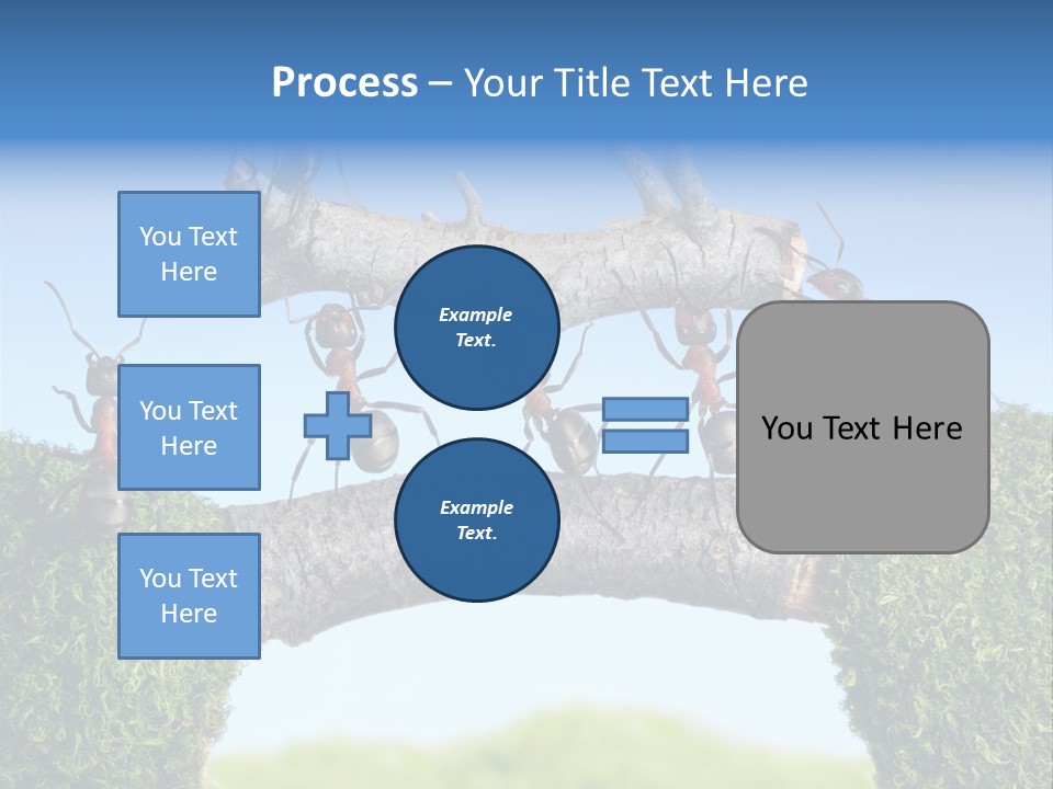Log Wooden Insects PowerPoint Template