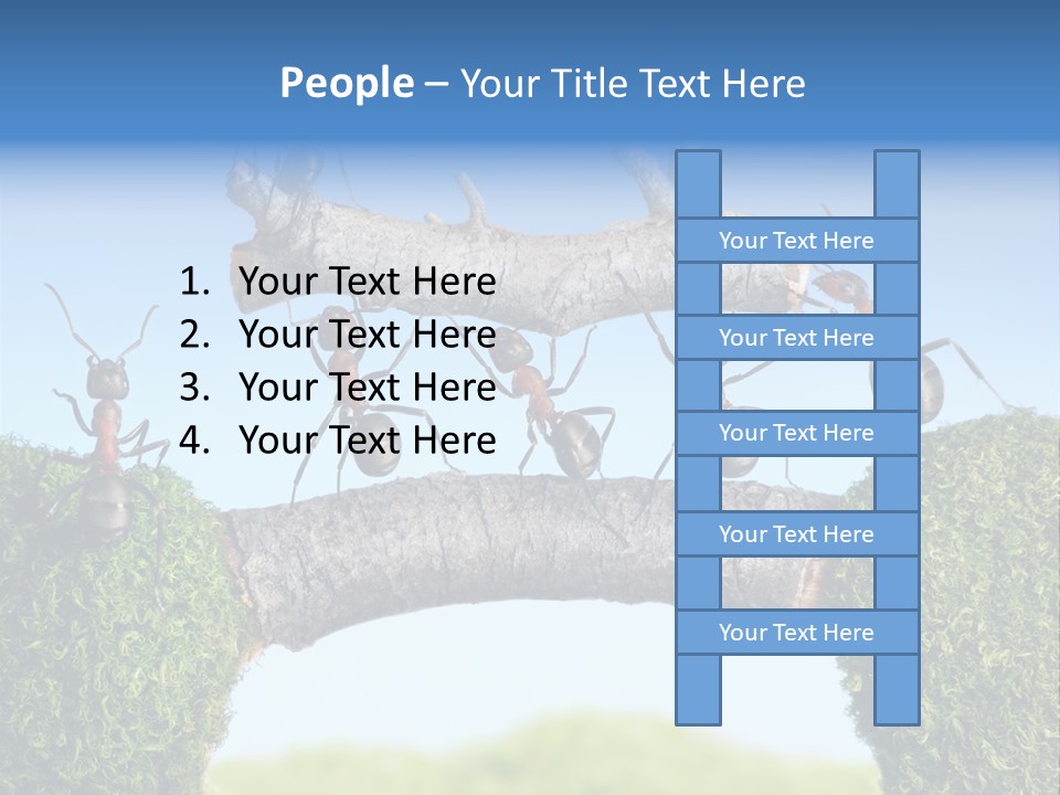 Log Wooden Insects PowerPoint Template