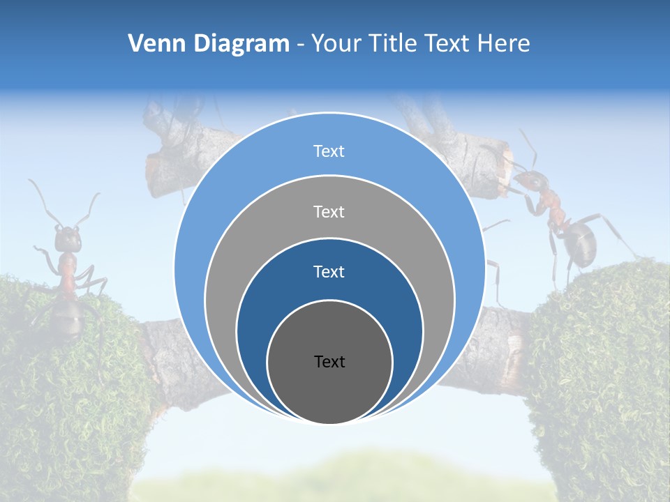 Log Wooden Insects PowerPoint Template