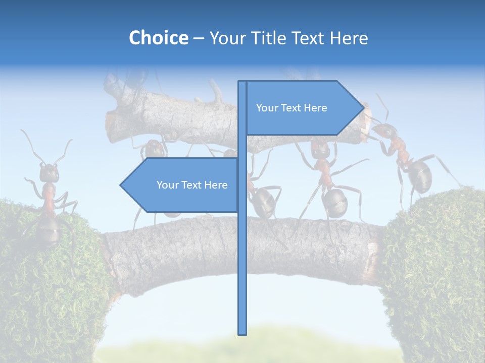 Log Wooden Insects PowerPoint Template