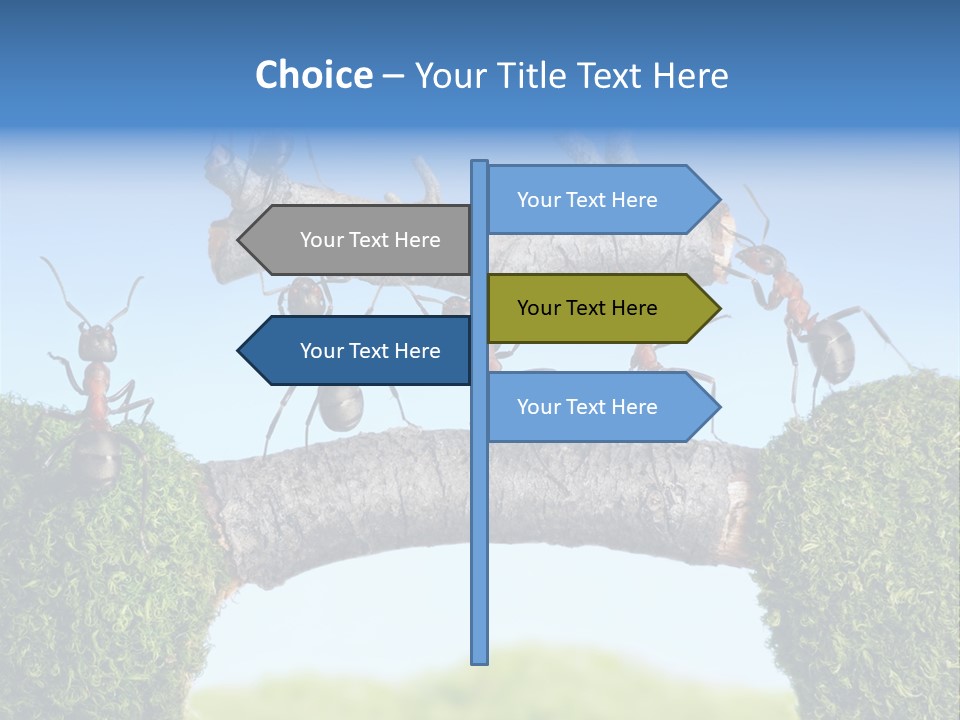 Log Wooden Insects PowerPoint Template