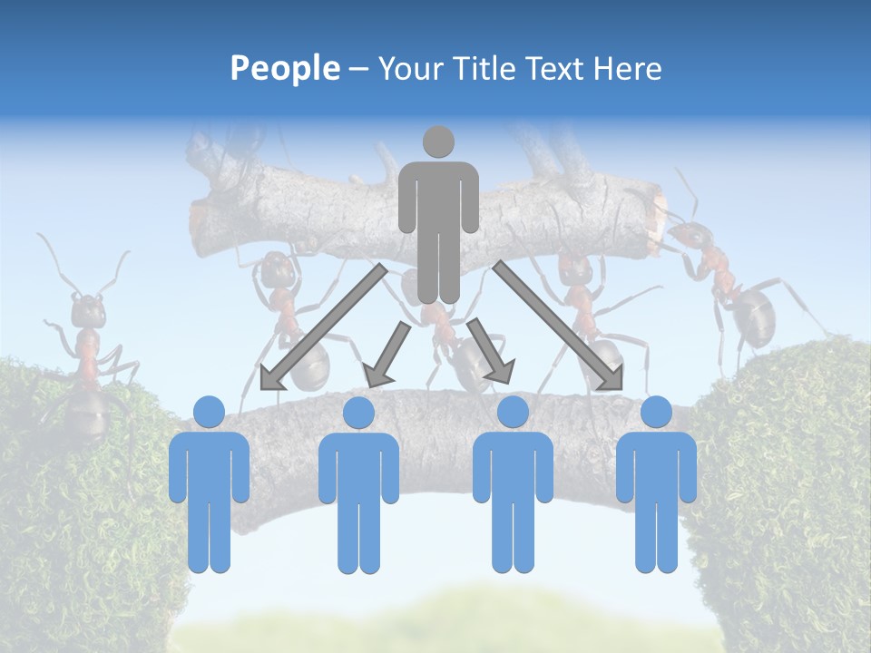 Log Wooden Insects PowerPoint Template