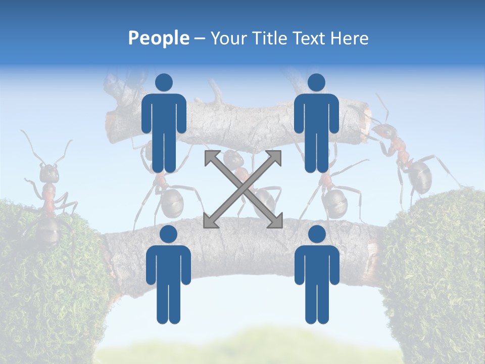 Log Wooden Insects PowerPoint Template