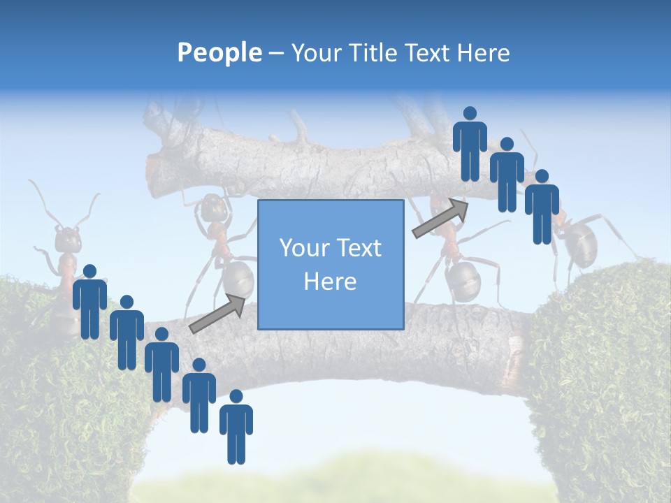 Log Wooden Insects PowerPoint Template