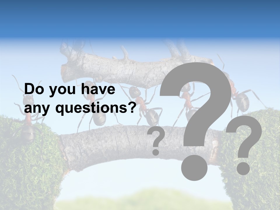 Log Wooden Insects PowerPoint Template