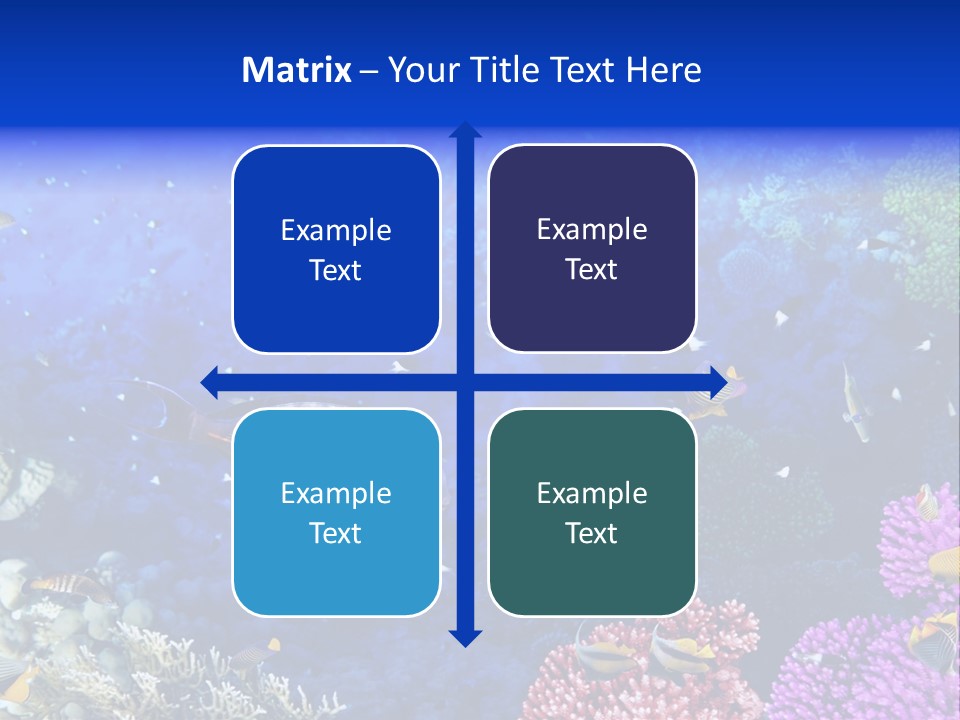 Polynesia Underwater Wild PowerPoint Template