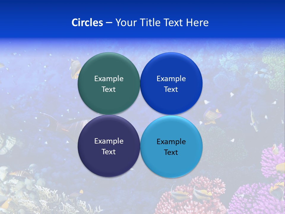 Polynesia Underwater Wild PowerPoint Template