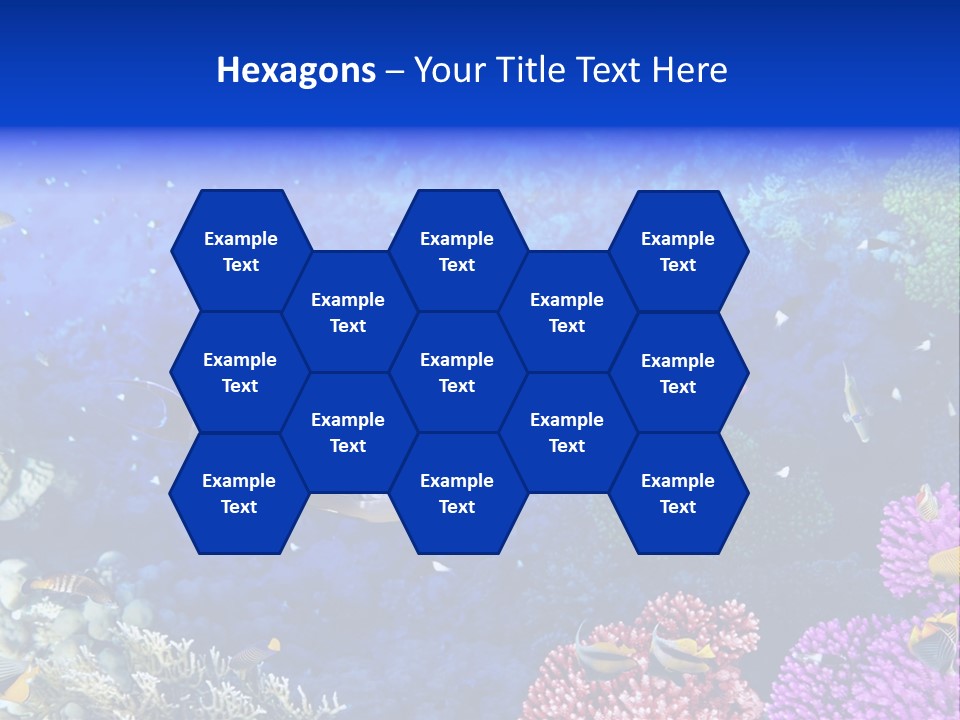 Polynesia Underwater Wild PowerPoint Template