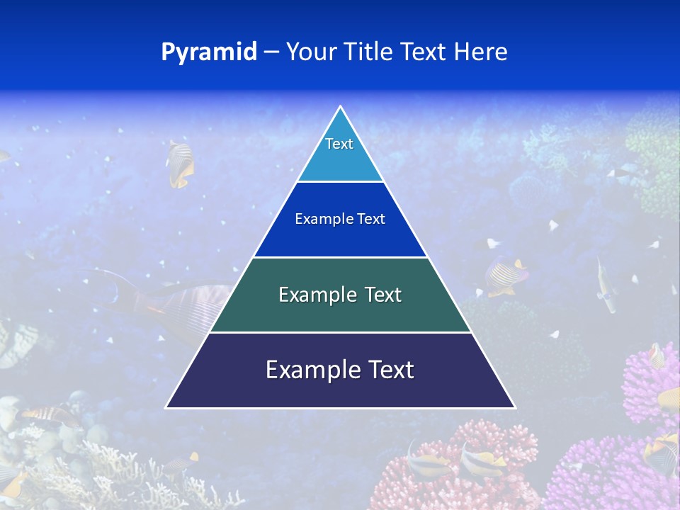 Polynesia Underwater Wild PowerPoint Template