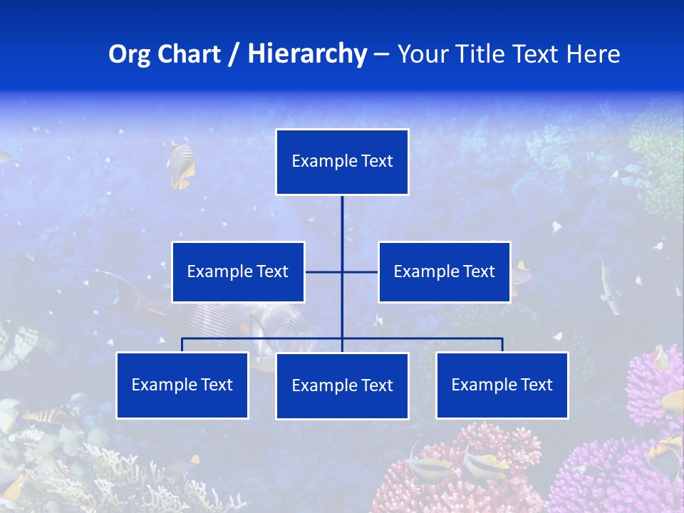 Polynesia Underwater Wild PowerPoint Template