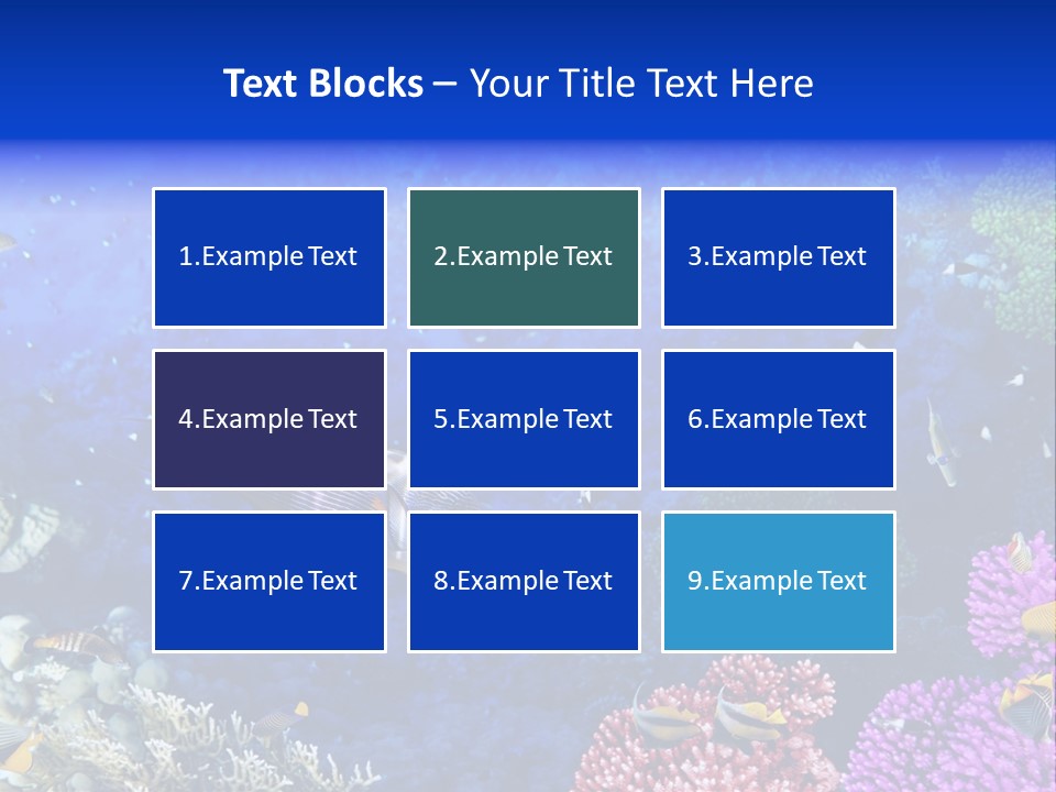 Polynesia Underwater Wild PowerPoint Template