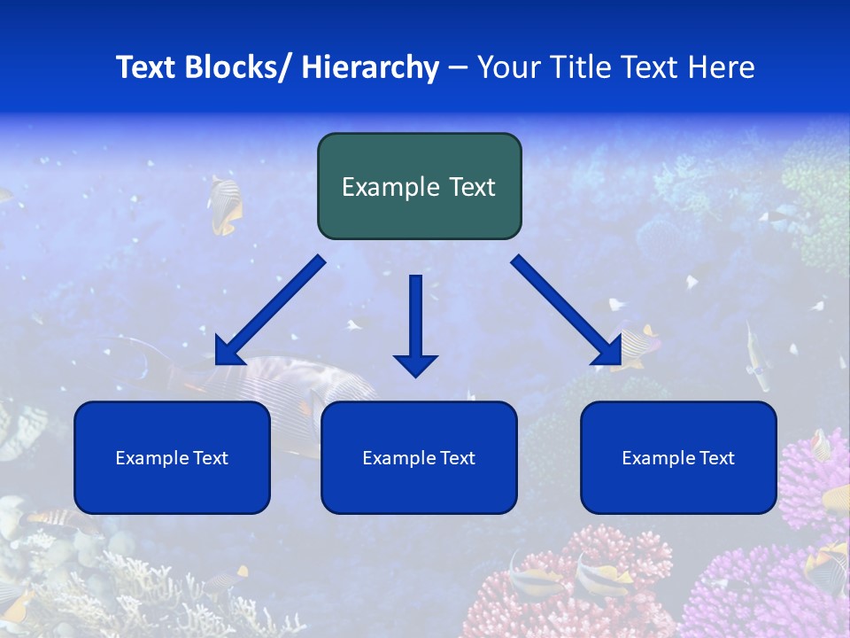 Polynesia Underwater Wild PowerPoint Template