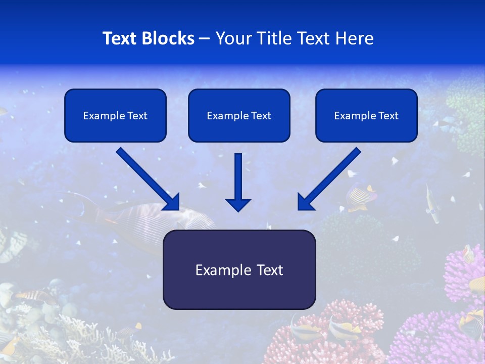 Polynesia Underwater Wild PowerPoint Template