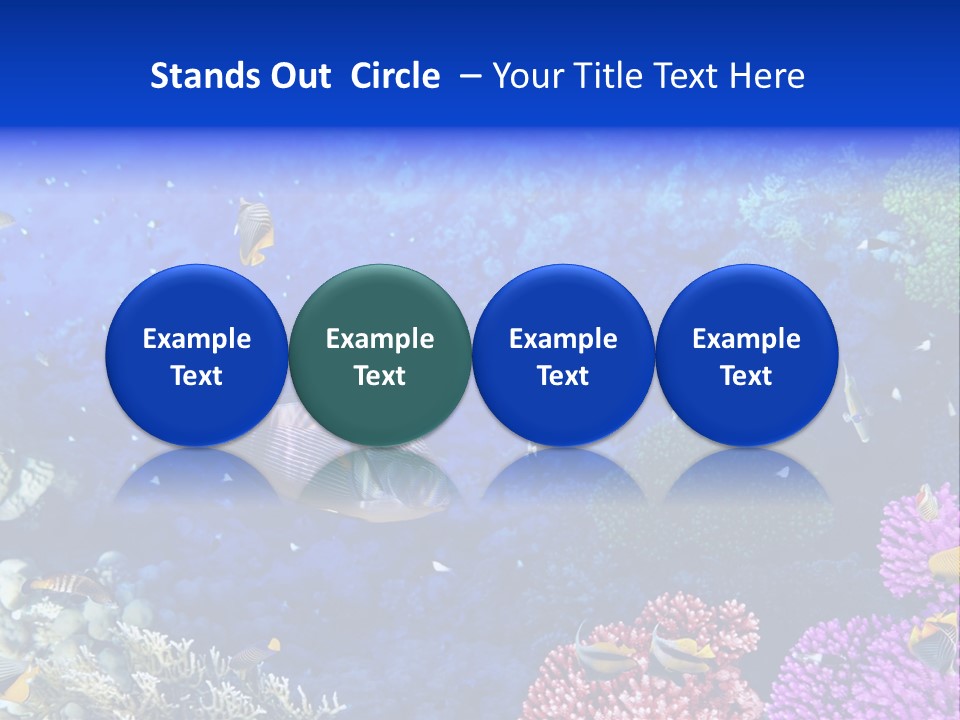 Polynesia Underwater Wild PowerPoint Template