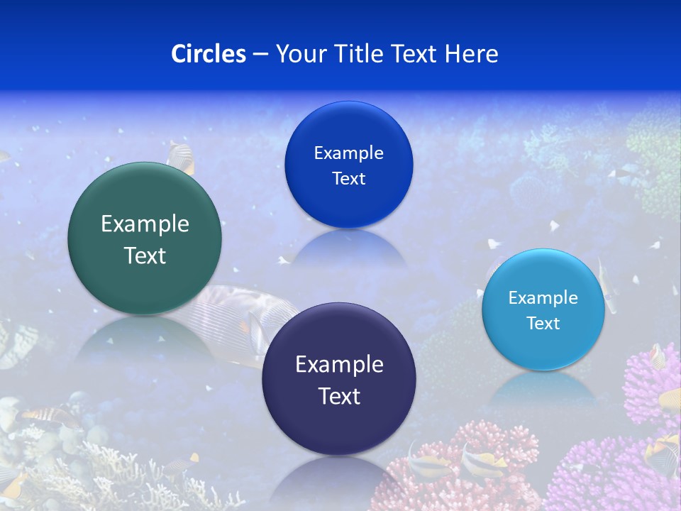 Polynesia Underwater Wild PowerPoint Template