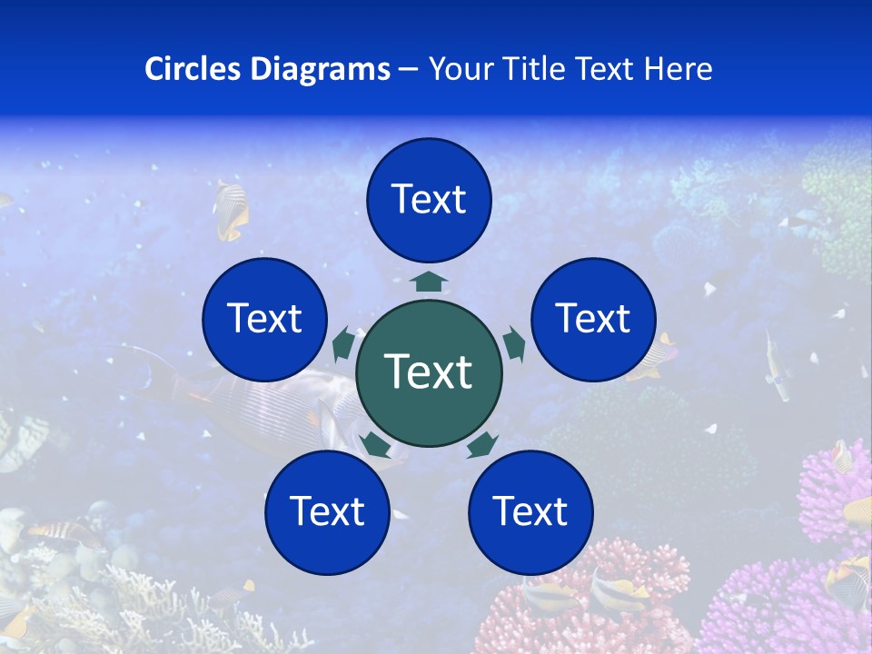 Polynesia Underwater Wild PowerPoint Template