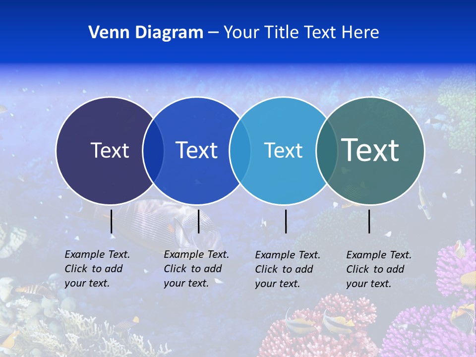 Polynesia Underwater Wild PowerPoint Template