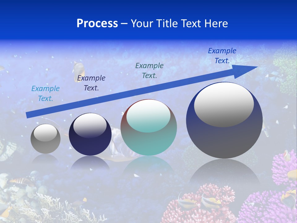 Polynesia Underwater Wild PowerPoint Template