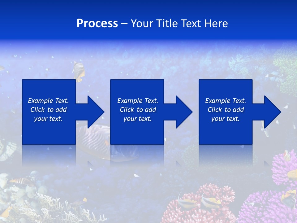 Polynesia Underwater Wild PowerPoint Template