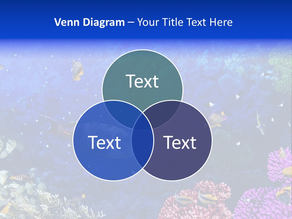 Polynesia Underwater Wild PowerPoint Template