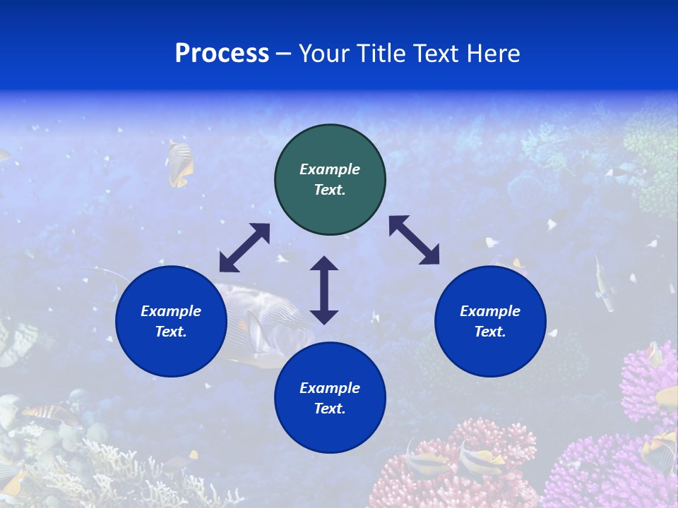 Polynesia Underwater Wild PowerPoint Template