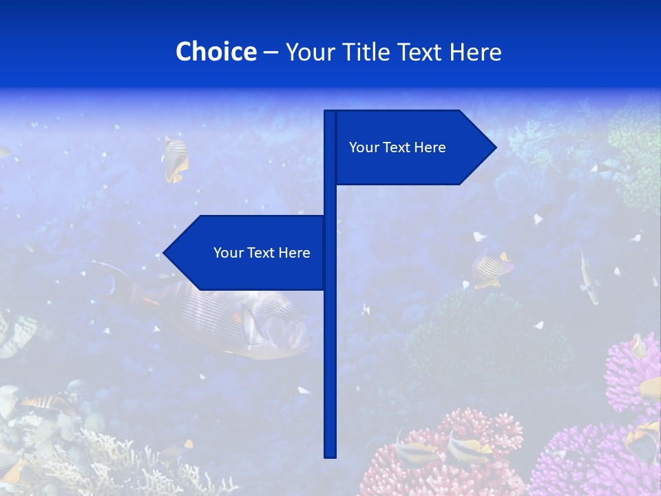 Polynesia Underwater Wild PowerPoint Template