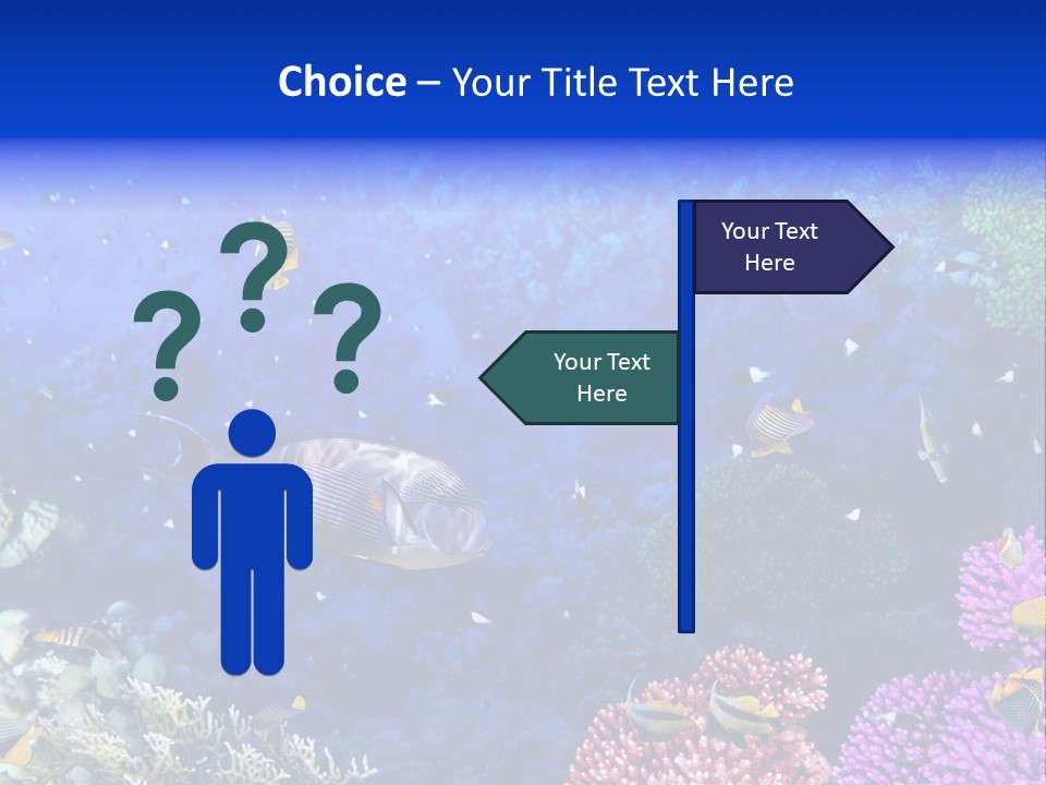 Polynesia Underwater Wild PowerPoint Template