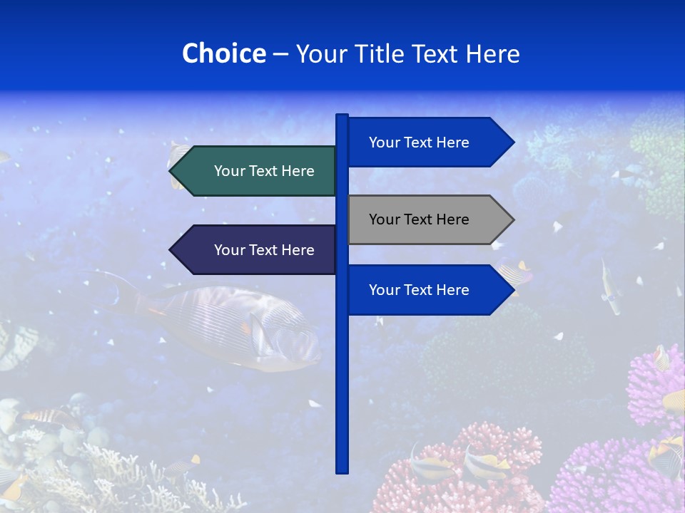 Polynesia Underwater Wild PowerPoint Template