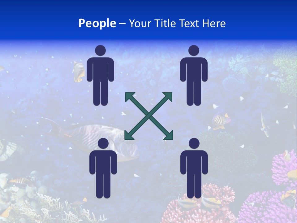 Polynesia Underwater Wild PowerPoint Template