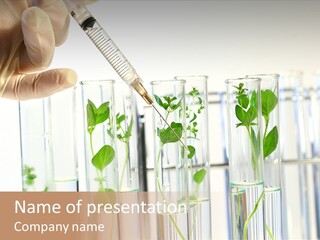 Test Liquid Scientific PowerPoint Template