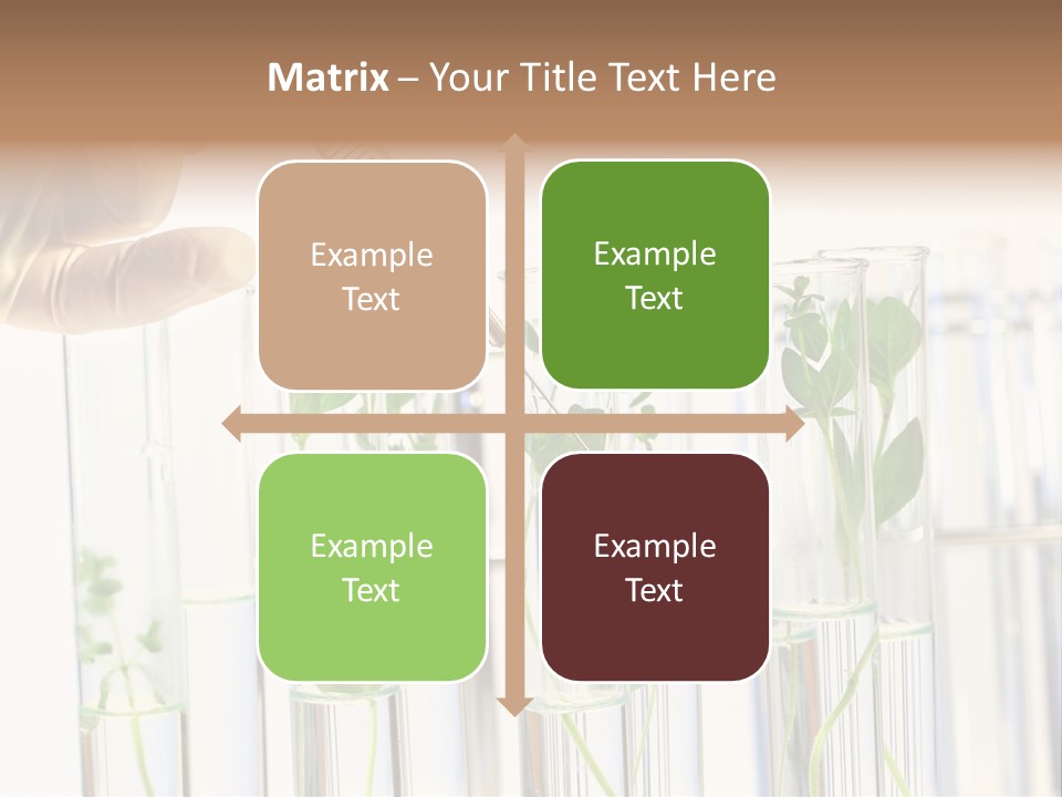 Test Liquid Scientific PowerPoint Template
