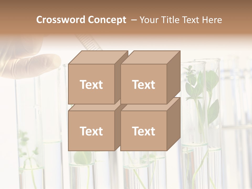 Test Liquid Scientific PowerPoint Template