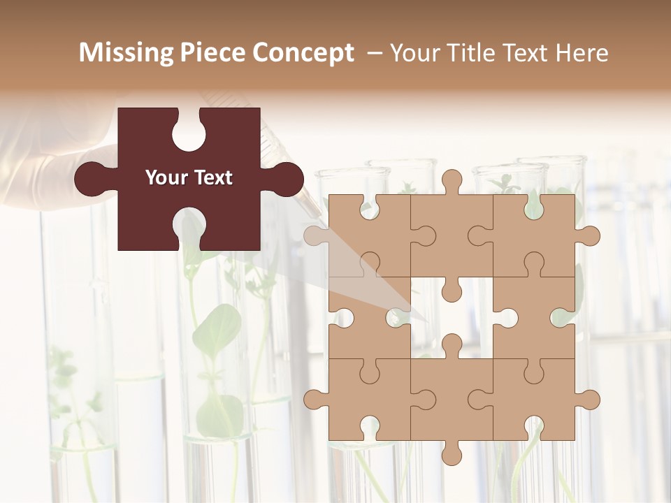 Test Liquid Scientific PowerPoint Template