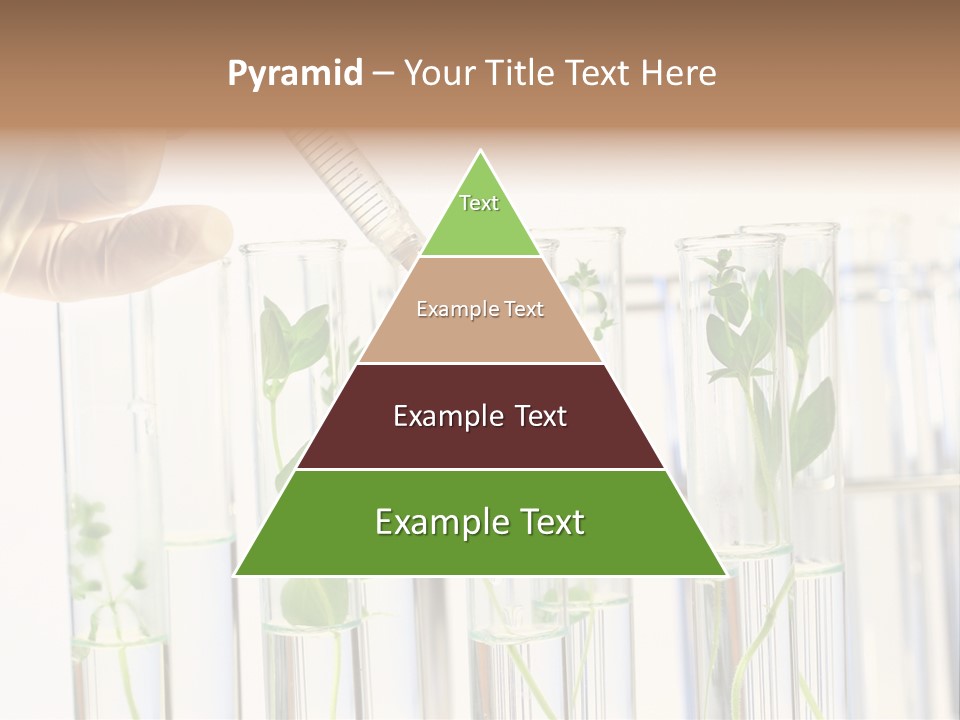 Test Liquid Scientific PowerPoint Template