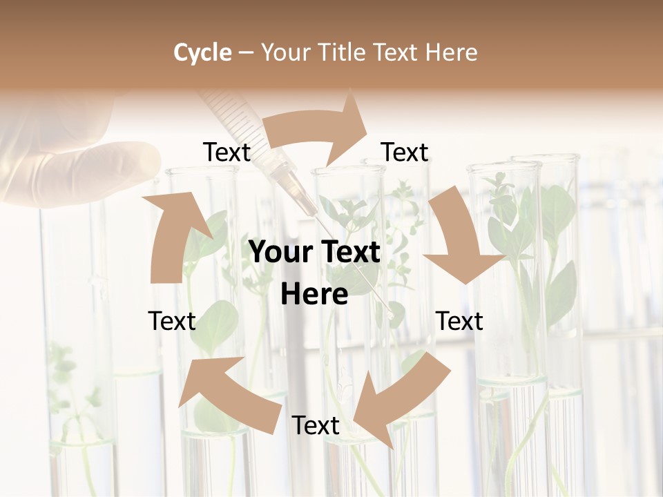 Test Liquid Scientific PowerPoint Template