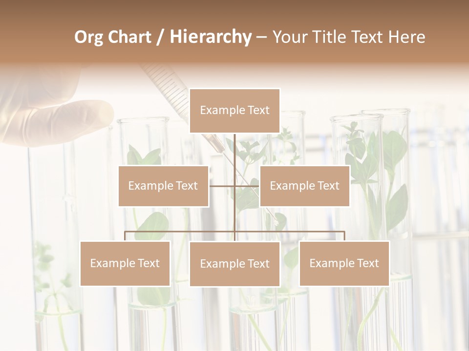 Test Liquid Scientific PowerPoint Template