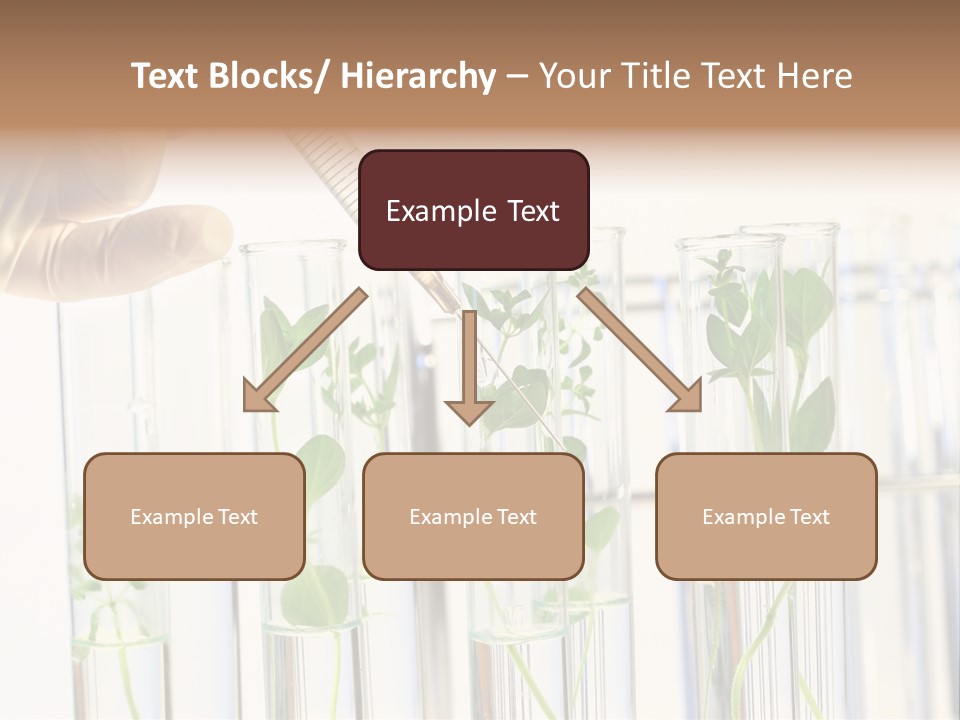 Test Liquid Scientific PowerPoint Template