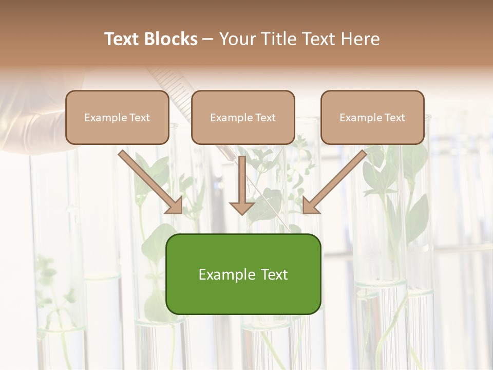 Test Liquid Scientific PowerPoint Template