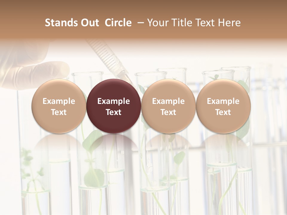 Test Liquid Scientific PowerPoint Template