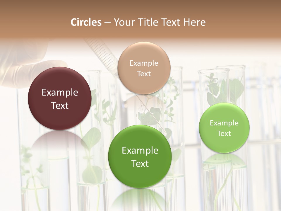 Test Liquid Scientific PowerPoint Template