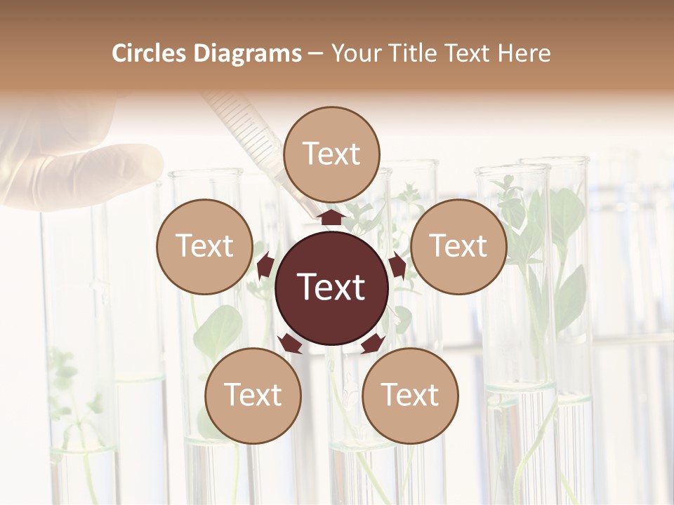 Test Liquid Scientific PowerPoint Template