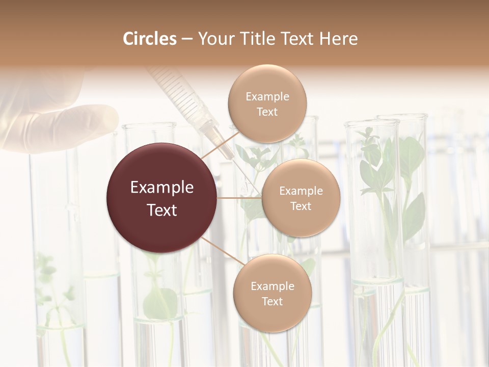 Test Liquid Scientific PowerPoint Template