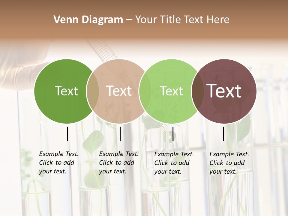 Test Liquid Scientific PowerPoint Template