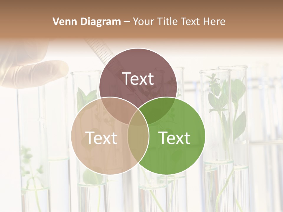 Test Liquid Scientific PowerPoint Template