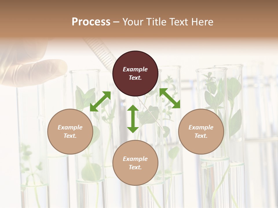 Test Liquid Scientific PowerPoint Template