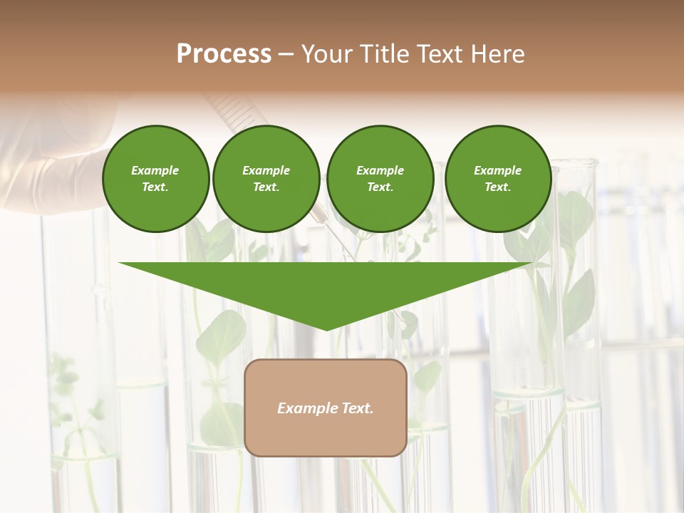 Test Liquid Scientific PowerPoint Template