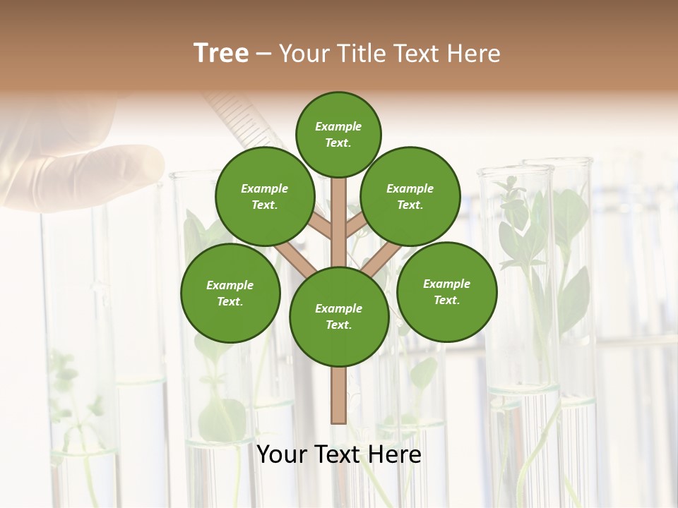 Test Liquid Scientific PowerPoint Template
